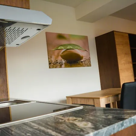 Wels Inn Hotel Konukevi Wels