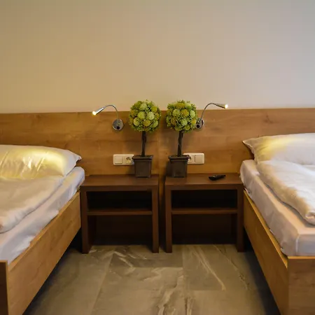 Wels Inn Hotel Βελς