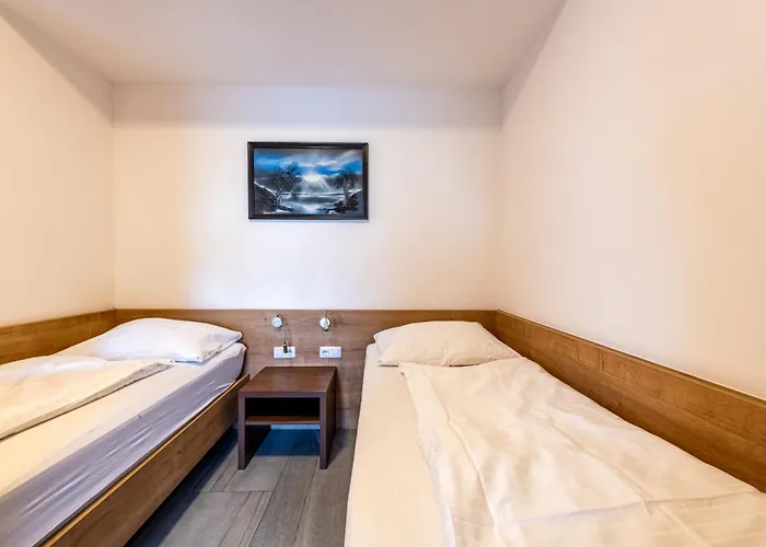 Wels Inn Hotel 3* Wels