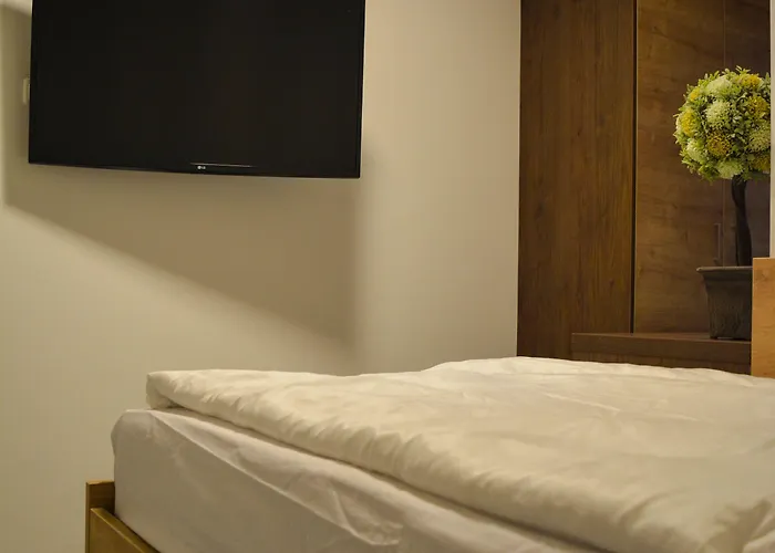 Wels Inn Hotel فيلس