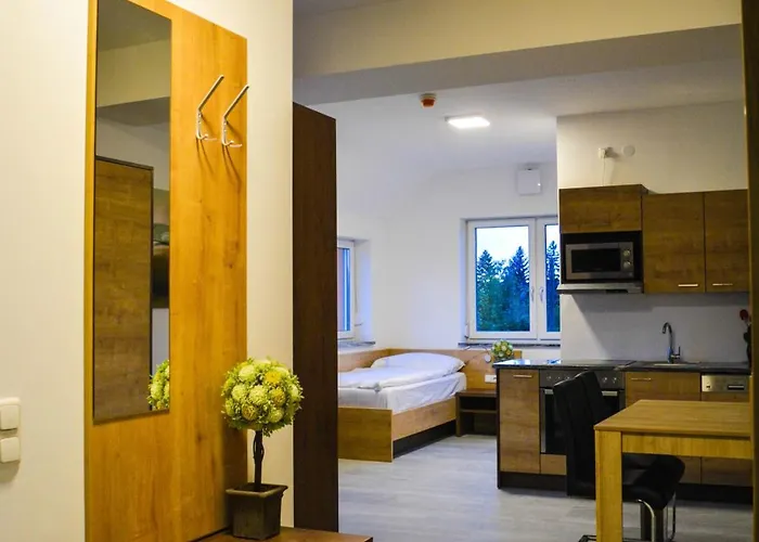 Wels Inn Hotel Gasthuis Wels