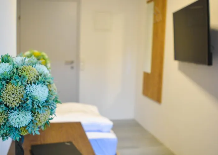 Wels Inn Hotel Gasthuis