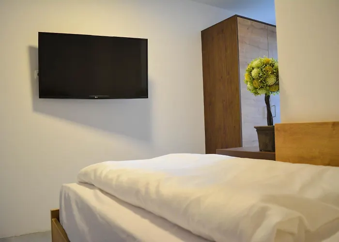 Wels Inn Hotel Gasthuis