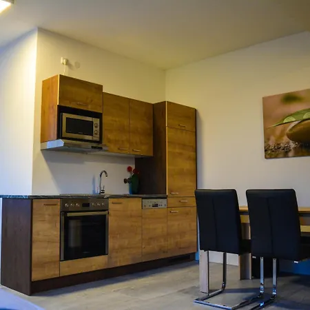Wels Inn Hotel Wels