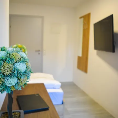 Wels Inn Hotel Gasthuis