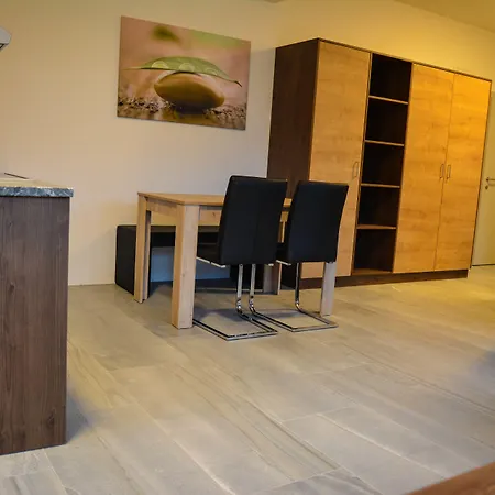 Gasthuis Wels Inn Hotel Wels