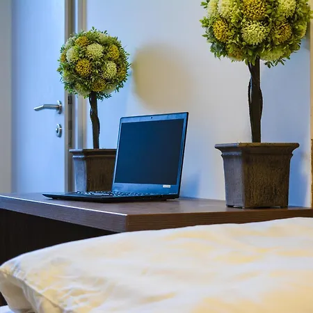 Wels Inn Hotel Gasthuis 3*