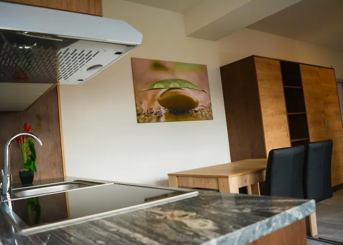 Wels Inn Hotel Konukevi Wels